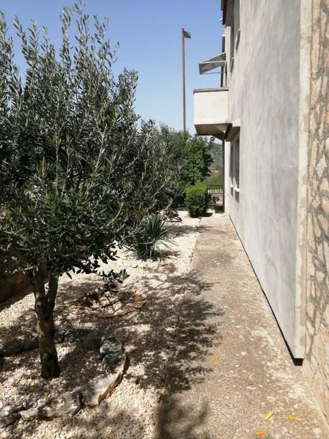 Apartments Mira Jadrtovac エクステリア 写真